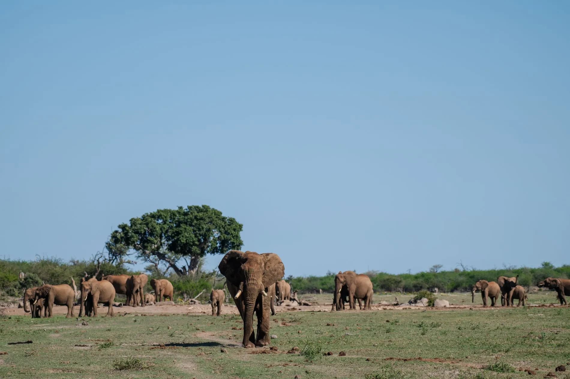 Jaci's Private Lodge banner image